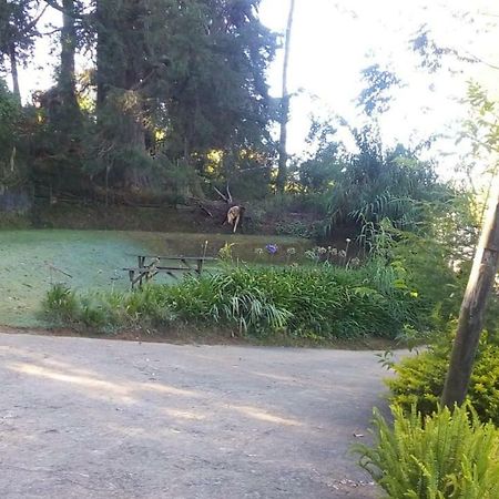 Park View Guest House Nuwara Eliya Exterior foto