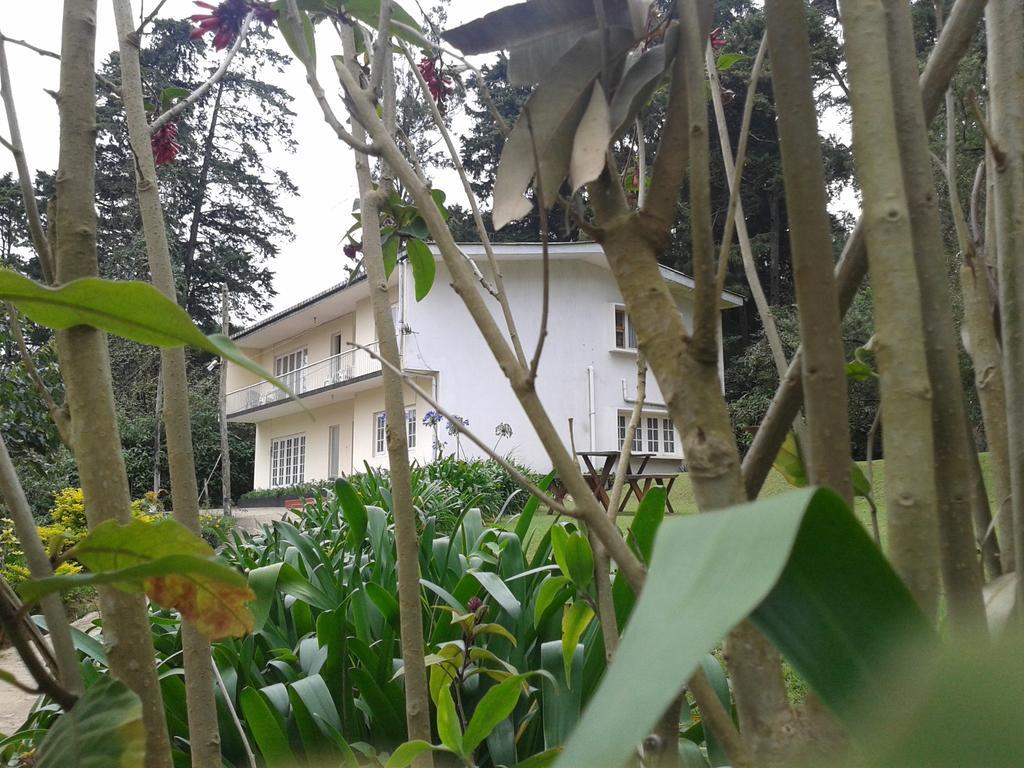 Park View Guest House Nuwara Eliya Exterior foto